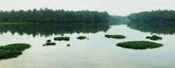 Kovalam-Akkulam-Lake-Kovallam-8693-jpg-images-attractions-619x240-1405694250-cropped