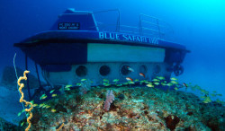 Blue-Safari-Submarine